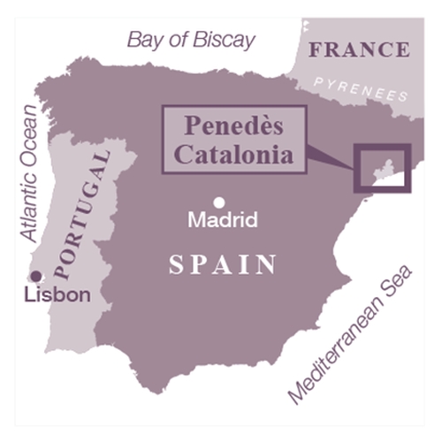 Spain - Penedès